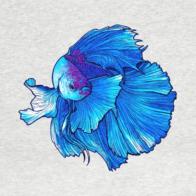 Blue Betta Fish by OceanLife